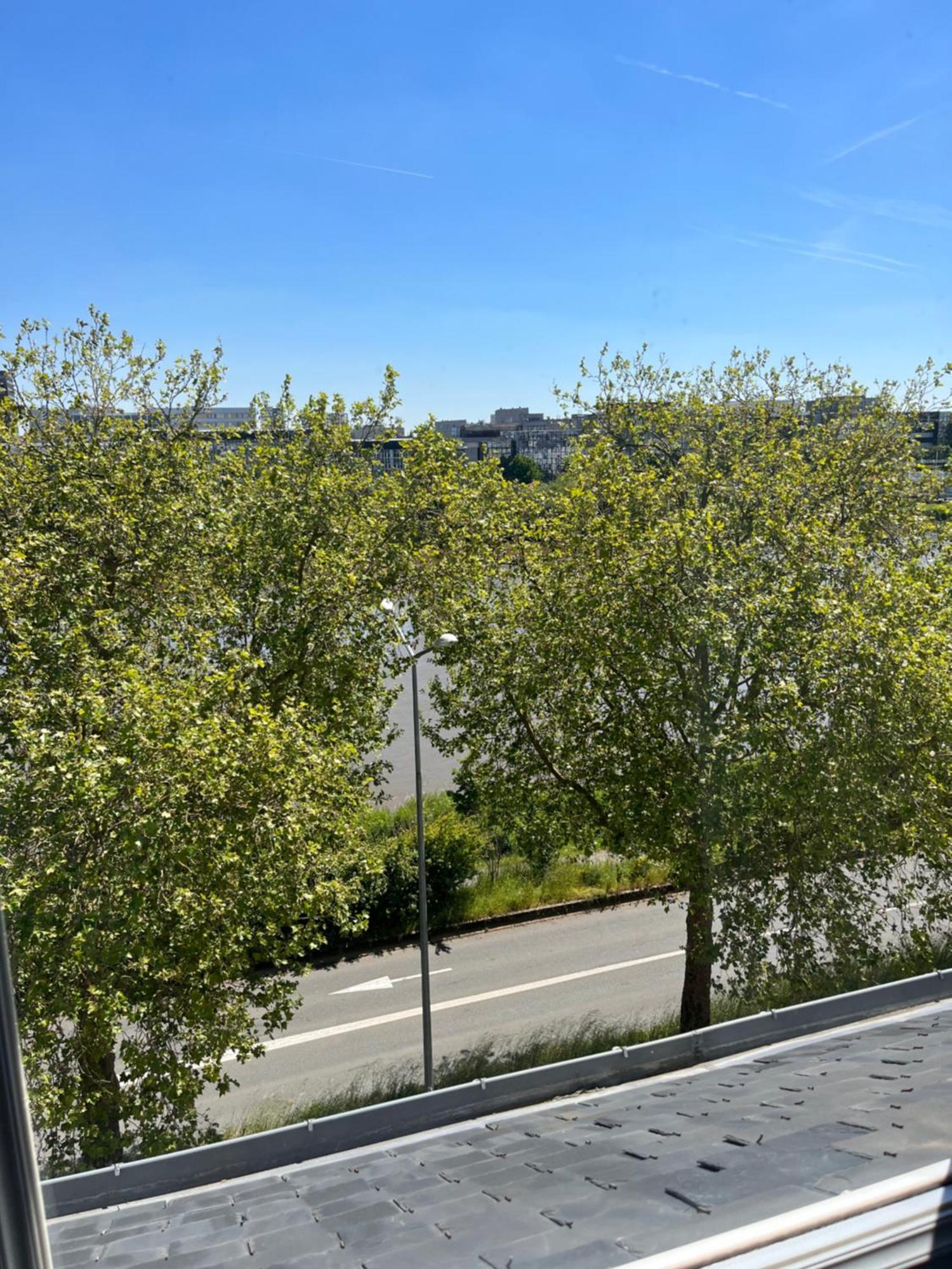 Appartement De Charme Vue Sur Loire ナント エクステリア 写真